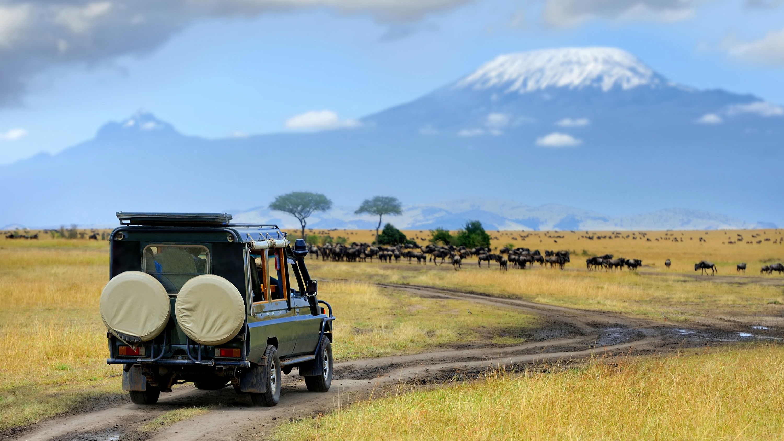 Kenia & Tanzania