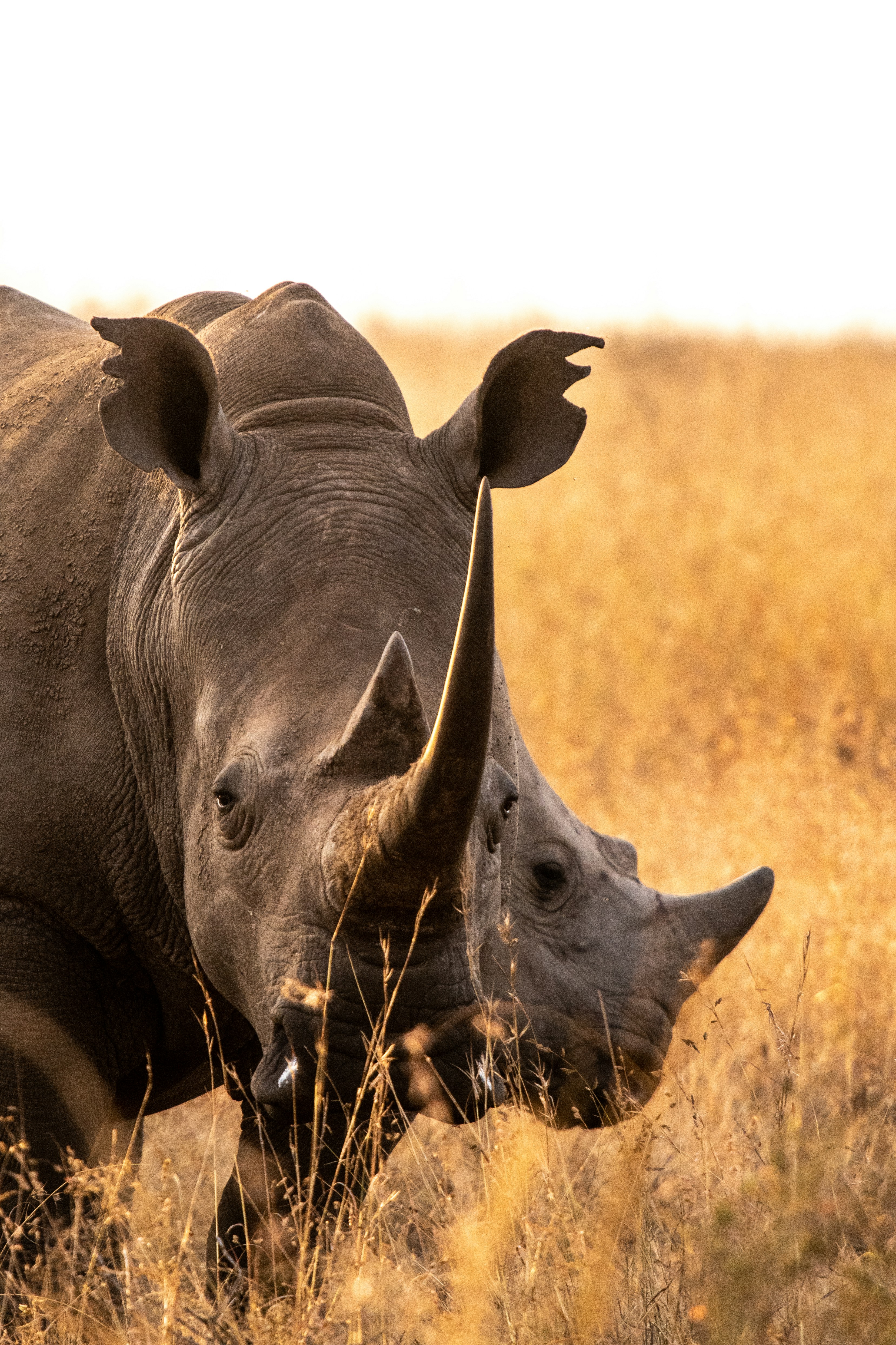 Kenia & Tanzania