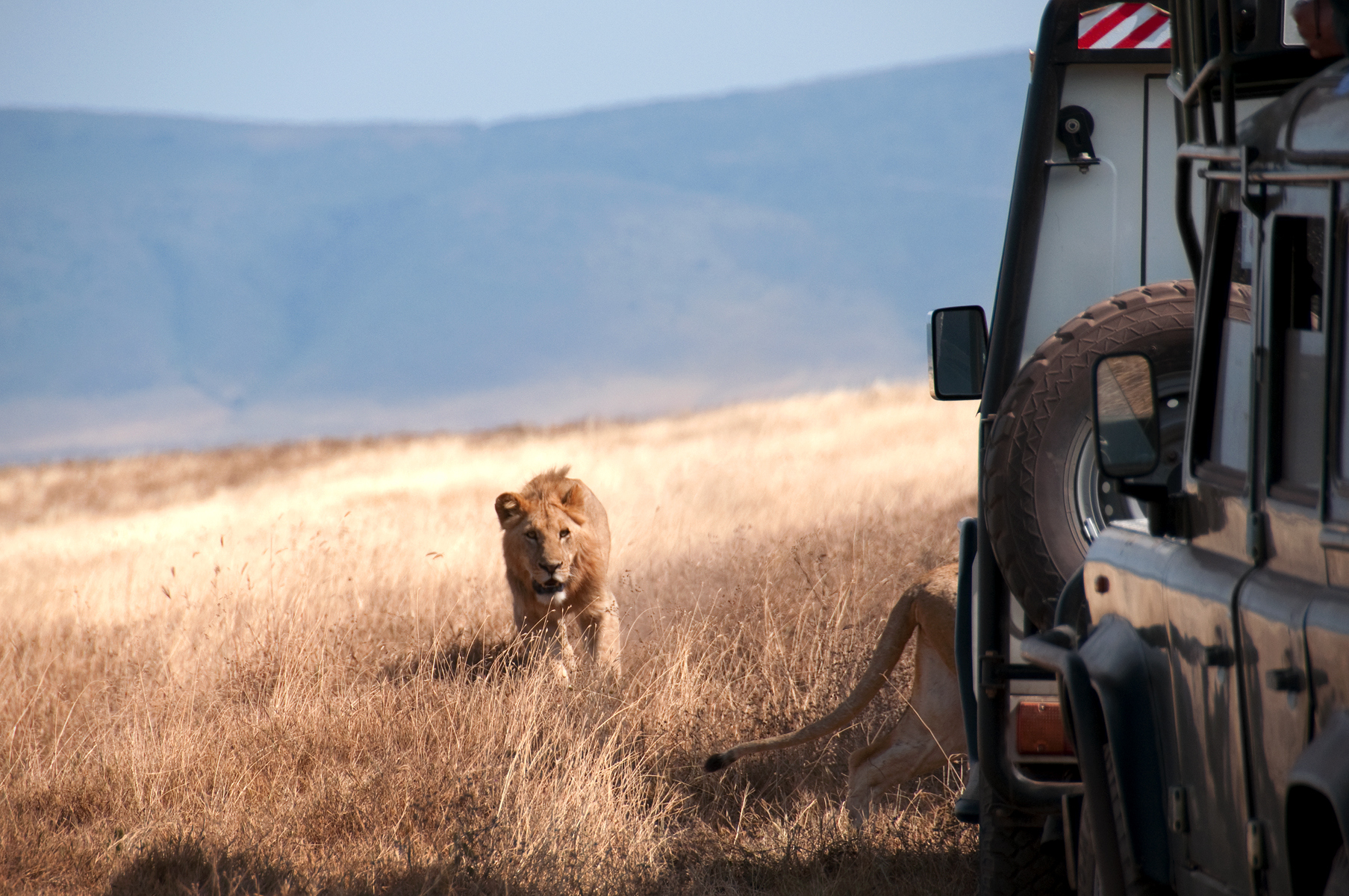 Kenia & Tanzania
