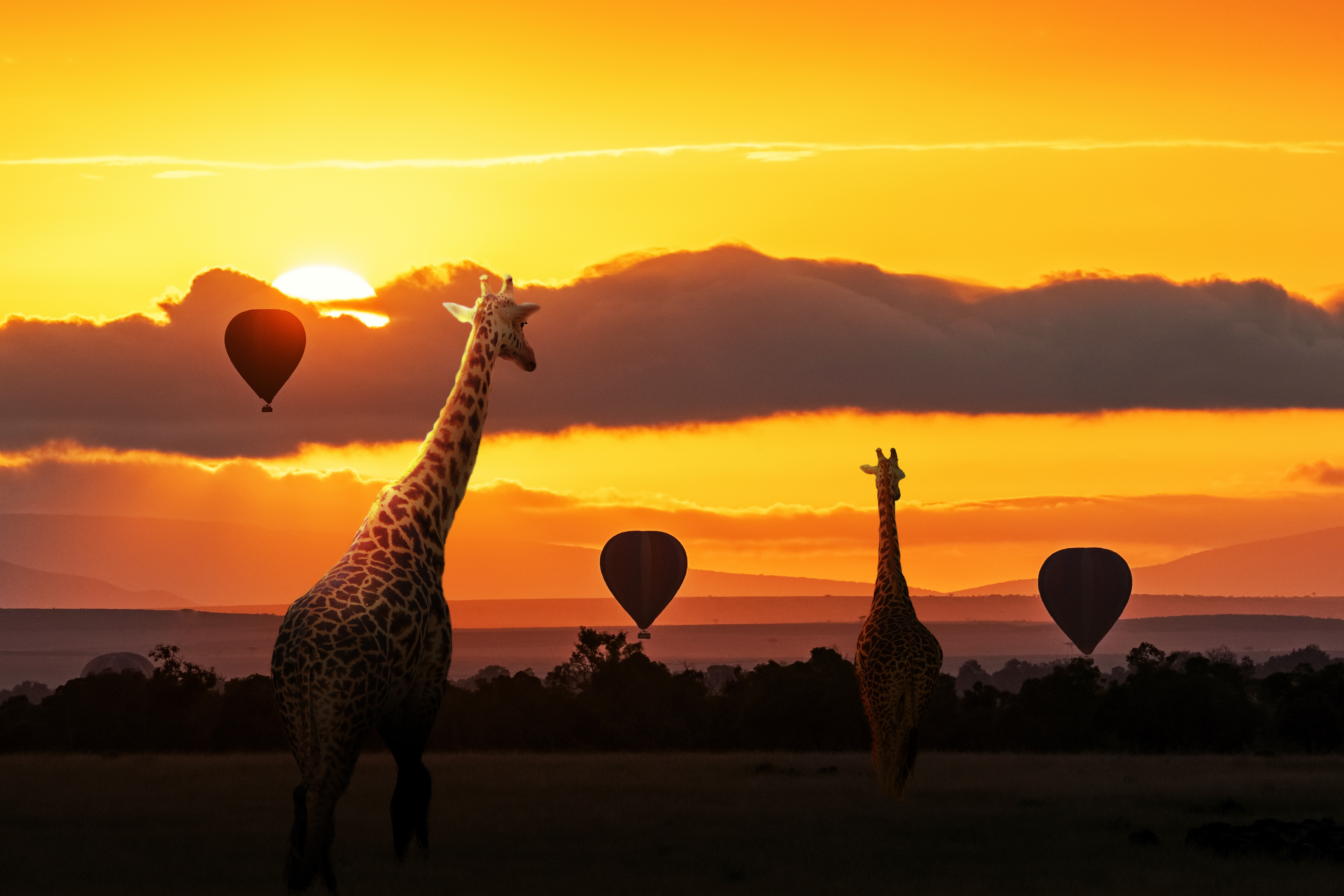Kenia & Tanzania