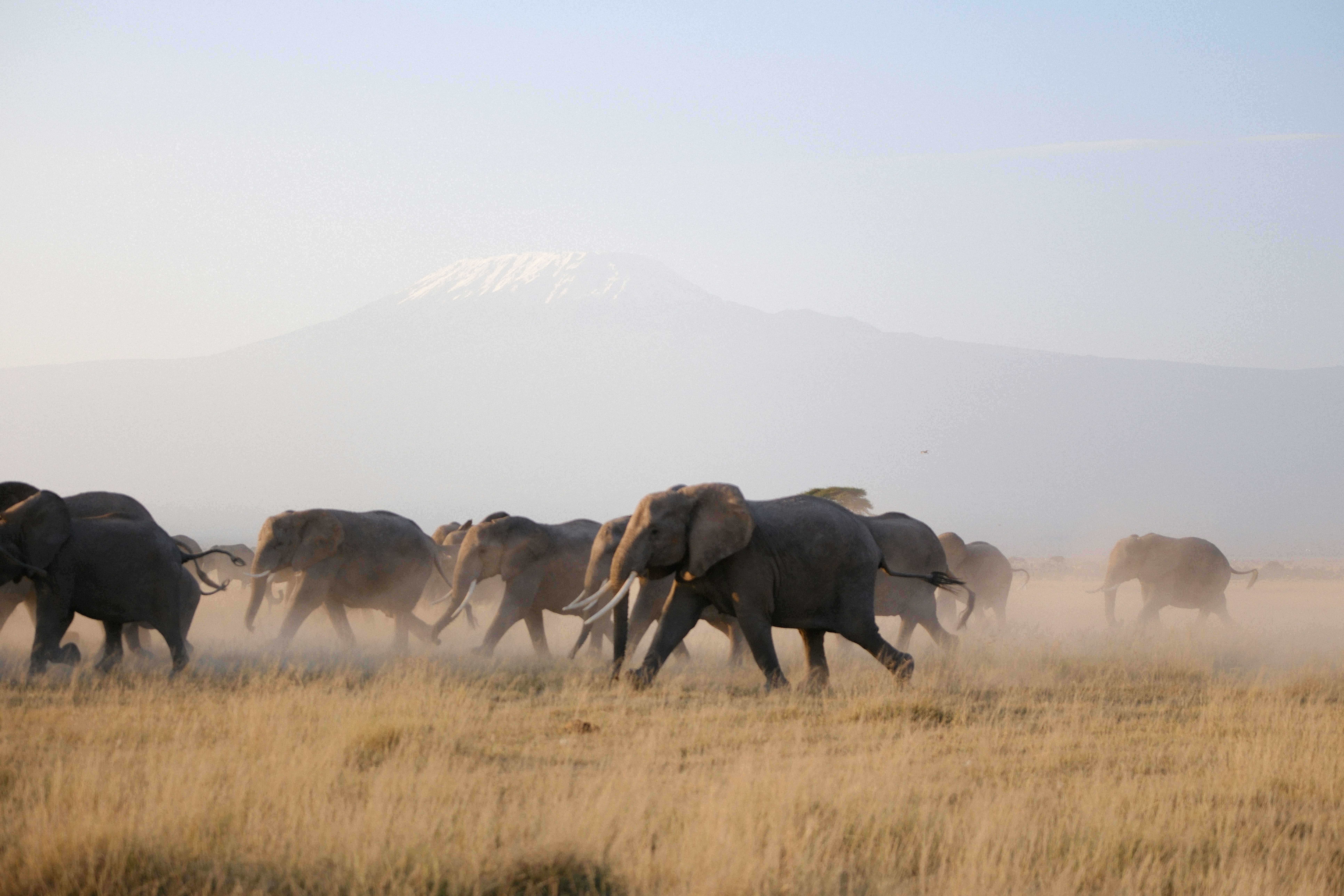 Kenia & Tanzania