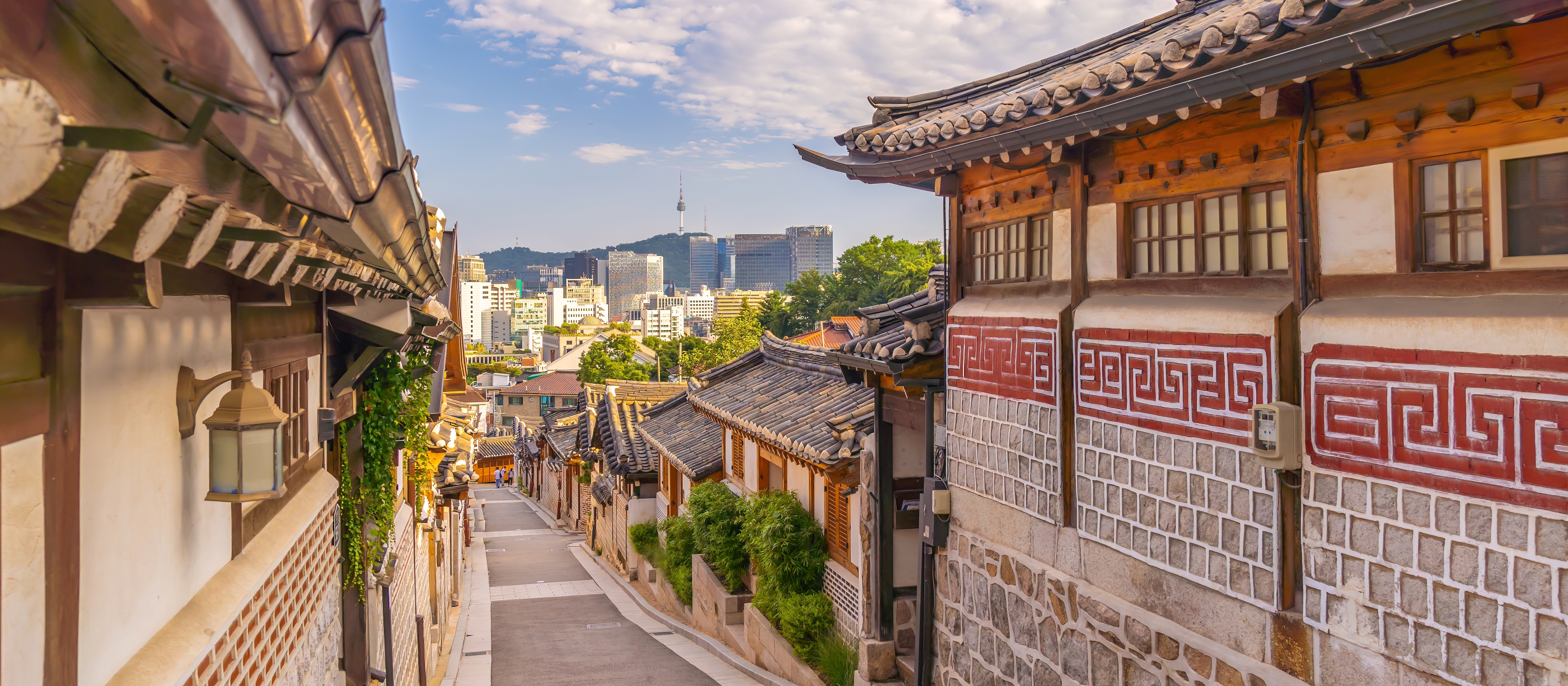 Corea & Japón "Momiji"