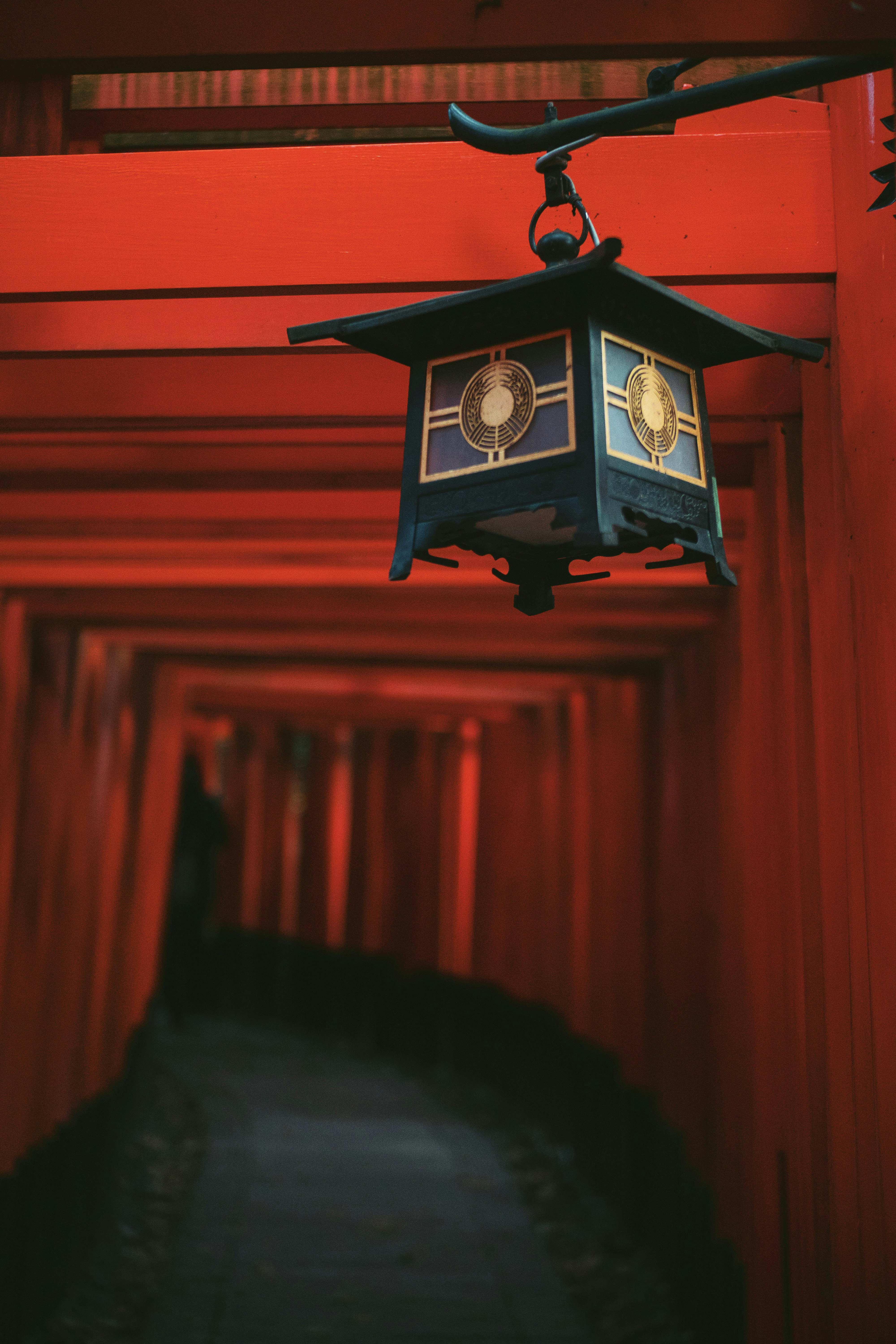 Corea & Japón "Momiji"
