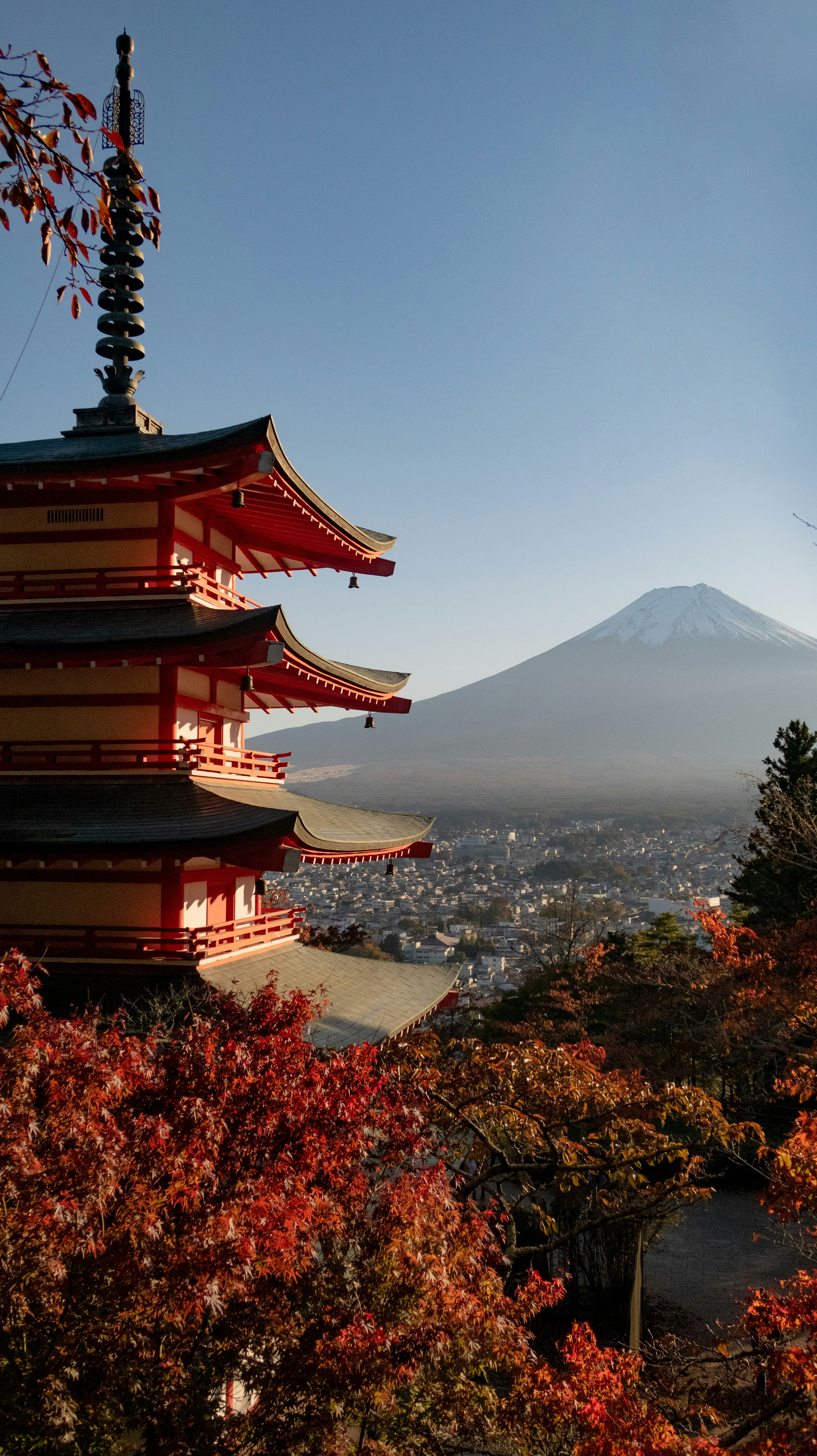 Corea & Japón "Momiji"