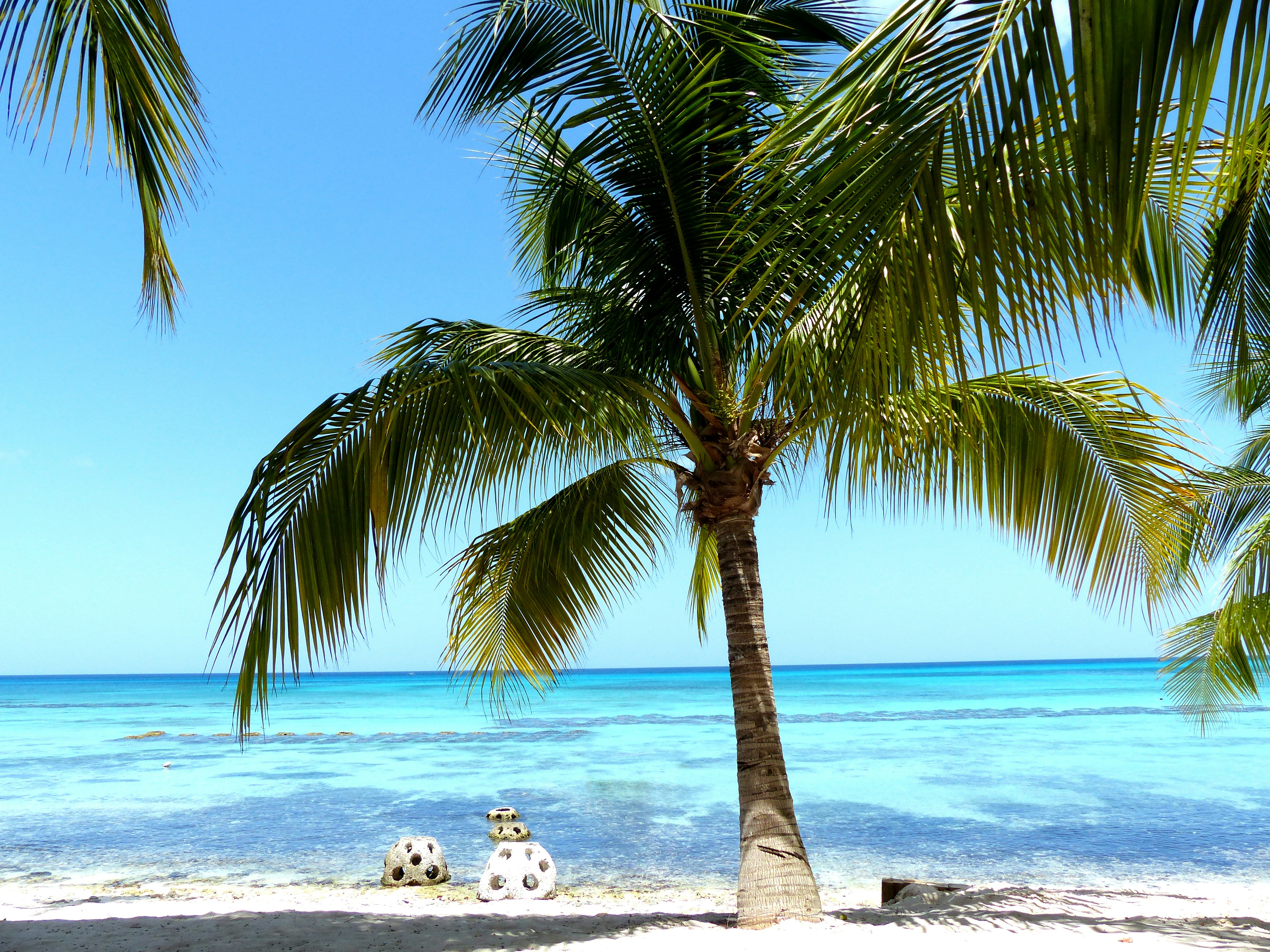 Descubrí Dominicana