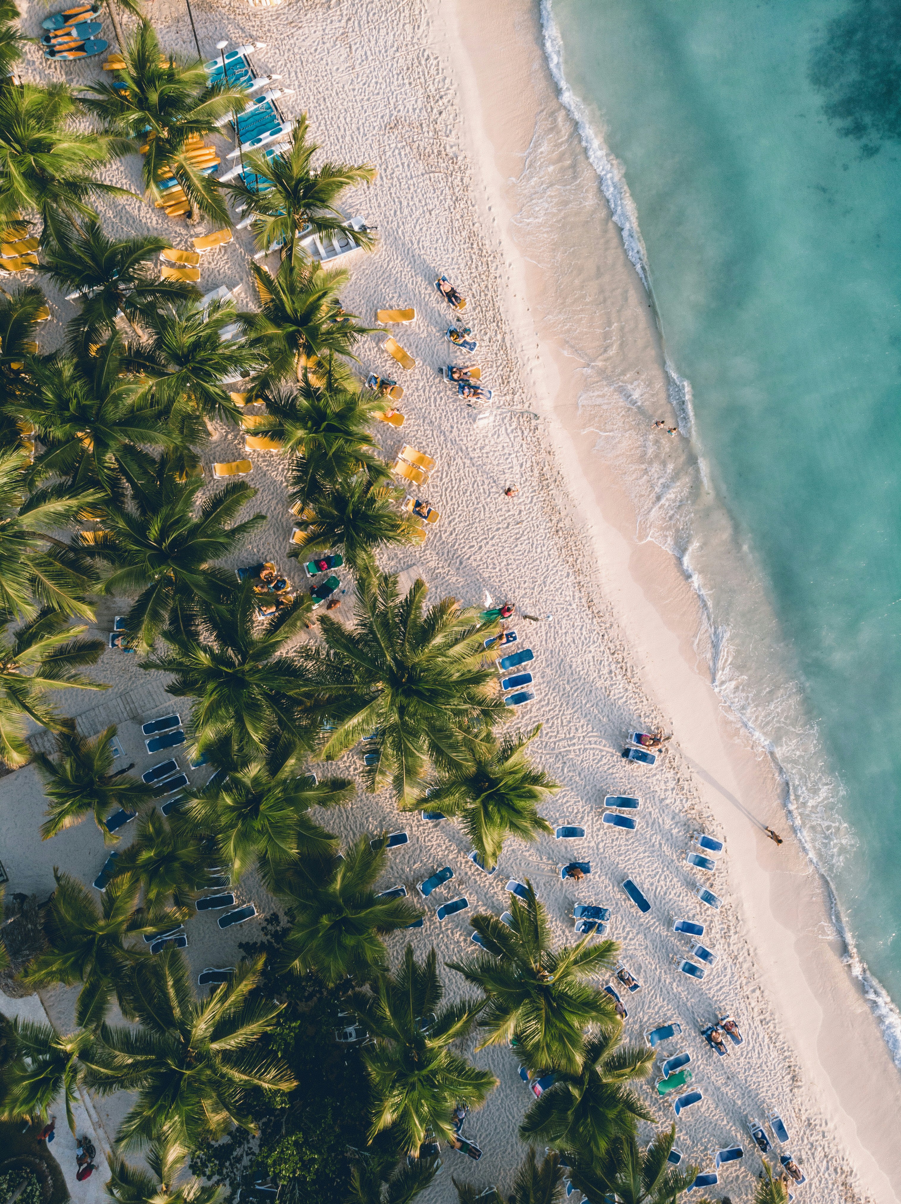 Descubrí Dominicana