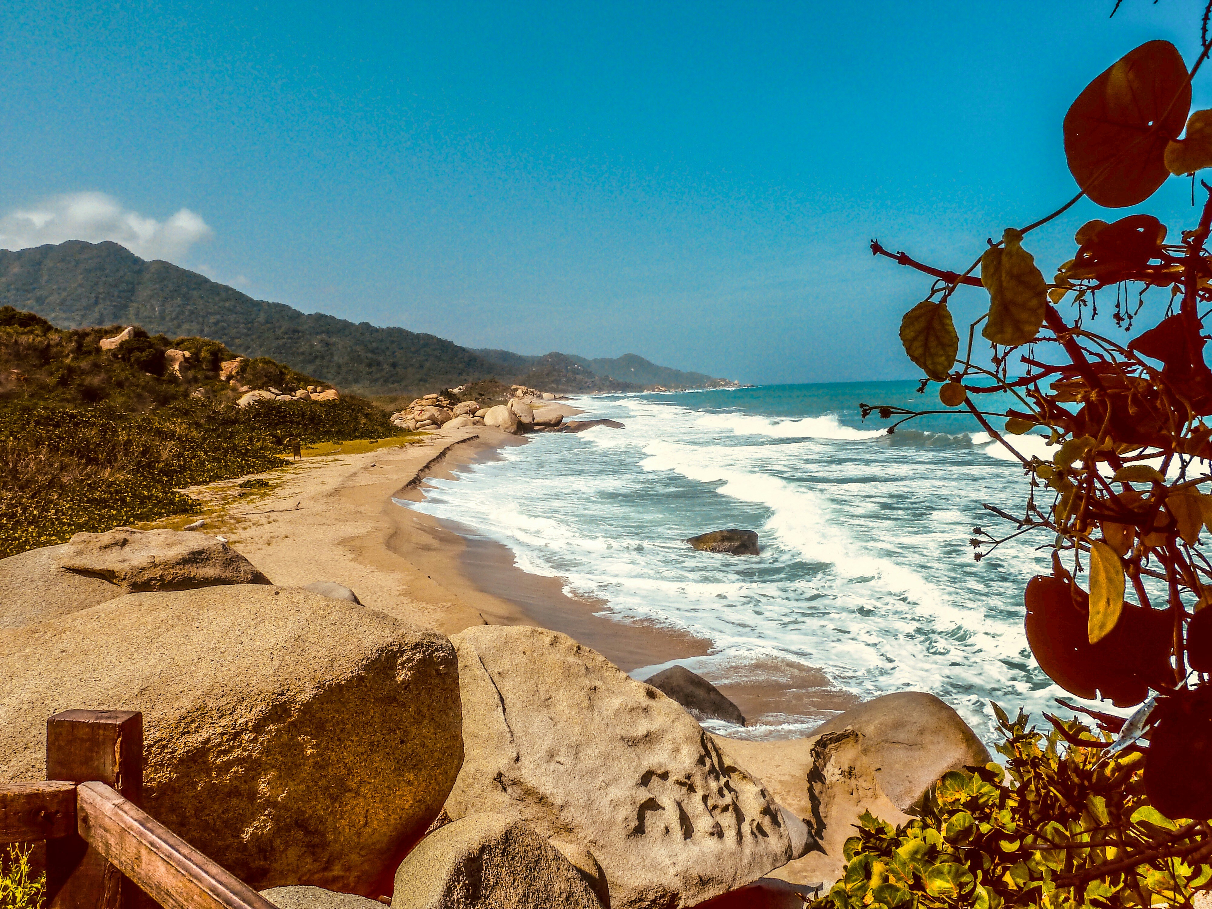 Sabores de Colombia: Mar y Caribe