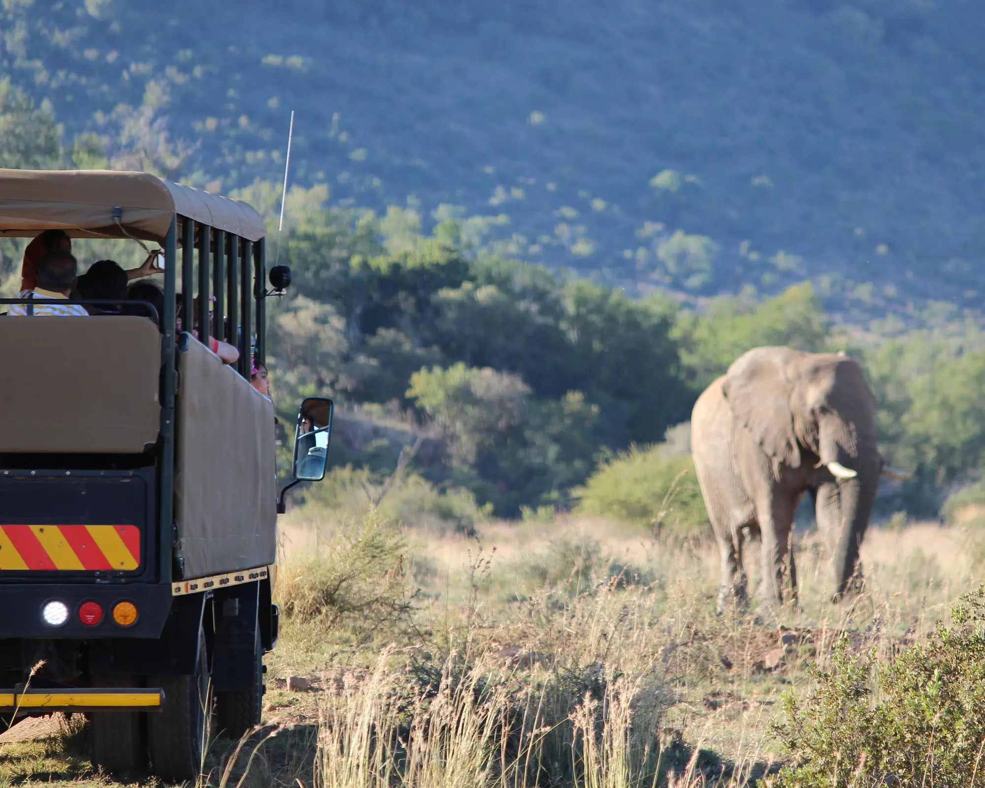 Experiencia Sudáfrica