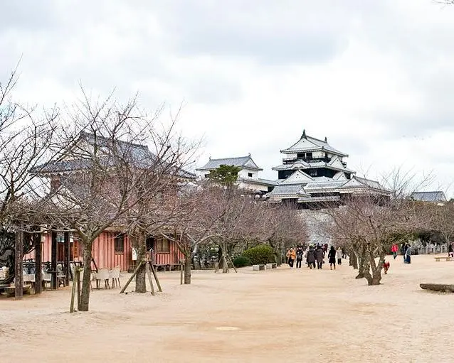Tesoros de Corea y Japón