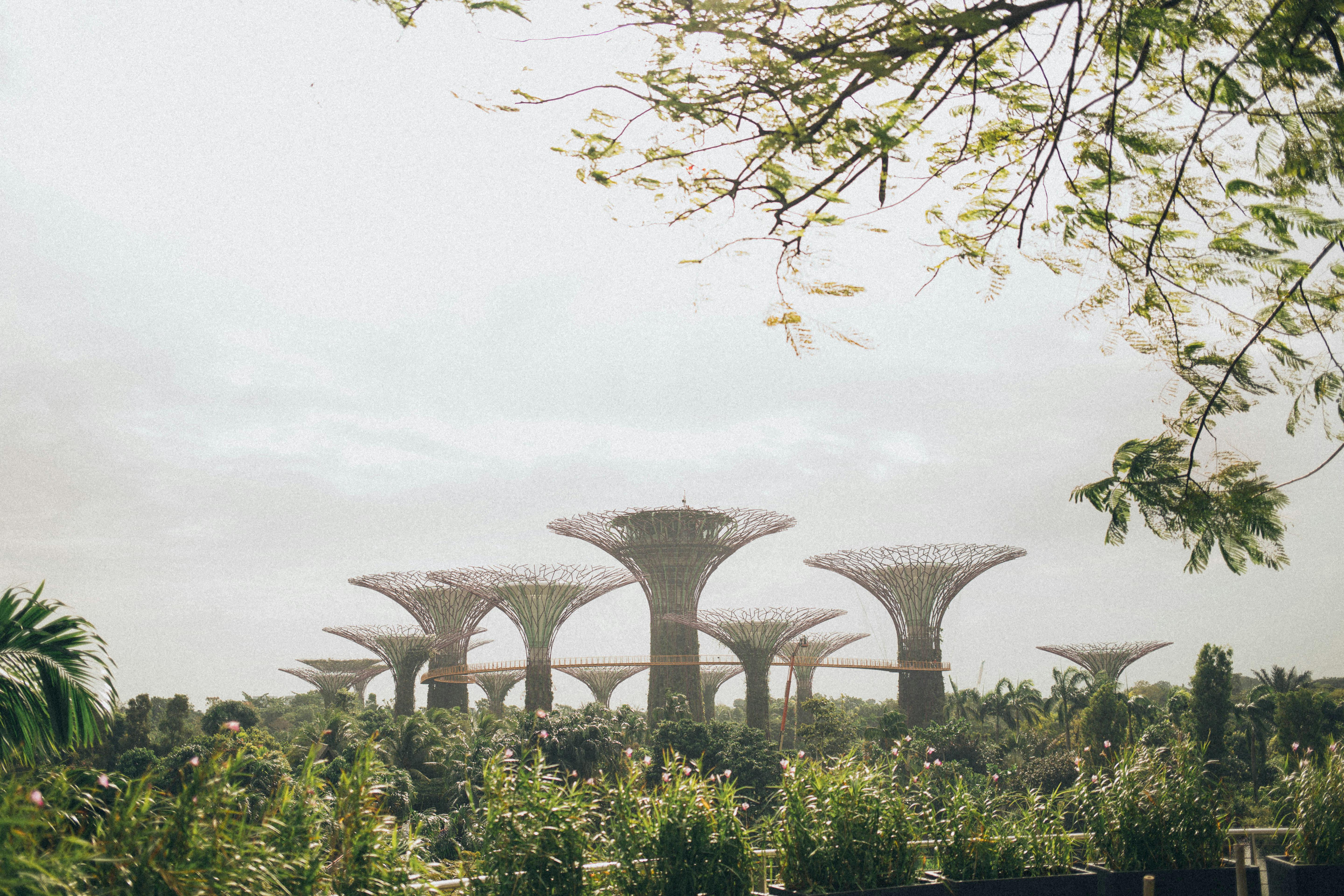 Malasia, Singapur & Bali